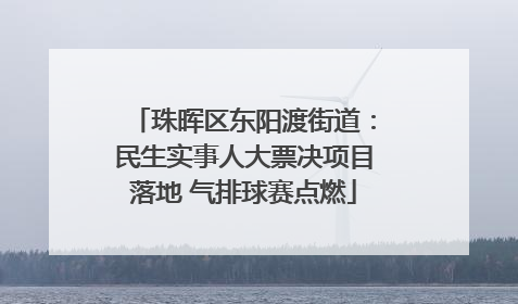 珠晖区东阳渡街道：民生实事人大票决项目落地 气排球赛点燃