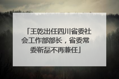 王乾出任四川省委社会工作部部长，省委常委靳磊不再兼任