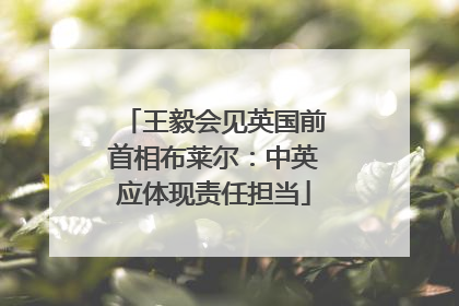 王毅会见英国前首相布莱尔：中英应体现责任担当