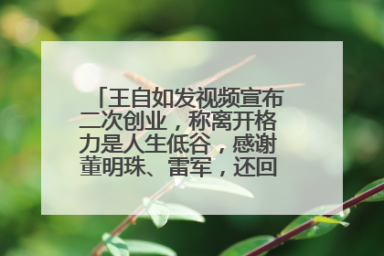 王自如发视频宣布二次创业，称离开格力是人生低谷，感谢董明珠、雷军，还回应了“工资条”：清楚自己要什么……
