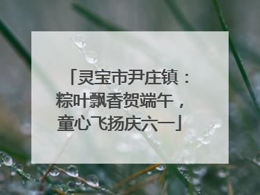 灵宝市尹庄镇：粽叶飘香贺端午，童心飞扬庆六一