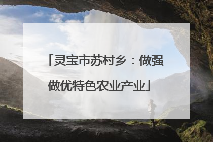 灵宝市苏村乡：做强做优特色农业产业