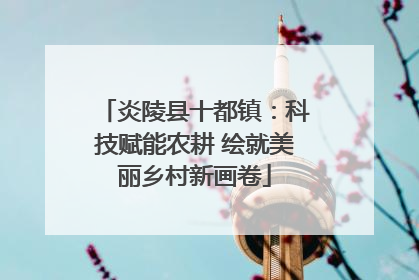 炎陵县十都镇：科技赋能农耕 绘就美丽乡村新画卷