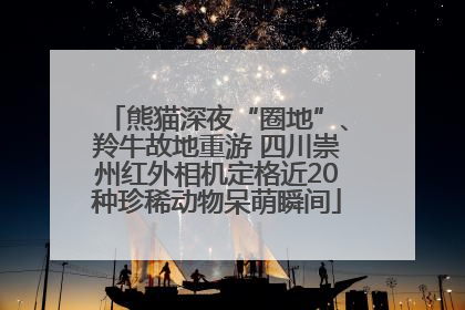 熊猫深夜“圈地”、羚牛故地重游 四川崇州红外相机定格近20种珍稀动物呆萌瞬间