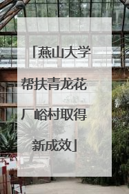 燕山大学帮扶青龙花厂峪村取得新成效