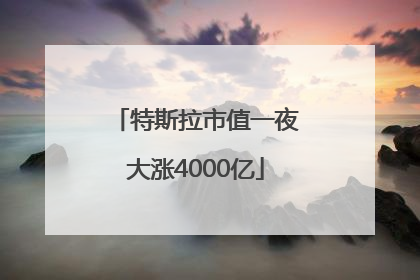特斯拉市值一夜大涨4000亿