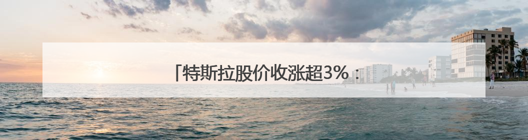 特斯拉股价收涨超3%：马斯克父亲劝儿子低头