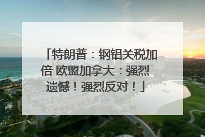 特朗普：钢铝关税加倍 欧盟加拿大：强烈遗憾！强烈反对！