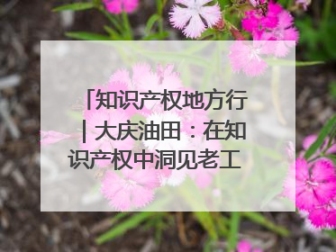 知识产权地方行｜大庆油田：在知识产权中洞见老工业基地的 “创新密码”