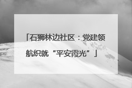 石狮林边社区：党建领航织就“平安霞光”