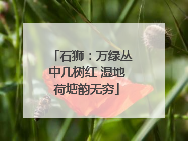 石狮：万绿丛中几树红 湿地荷塘韵无穷