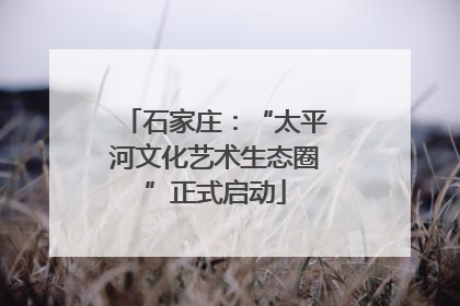 石家庄：“太平河文化艺术生态圈”正式启动
