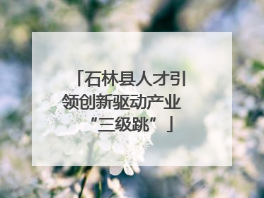 石林县人才引领创新驱动产业“三级跳”