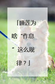 睡莲为啥“作息”这么规律？