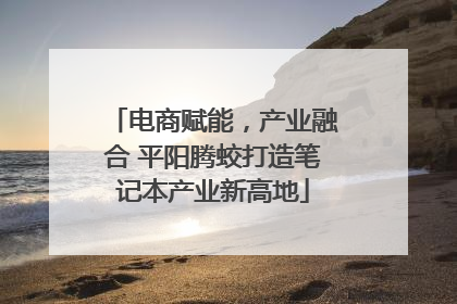 电商赋能，产业融合 平阳腾蛟打造笔记本产业新高地