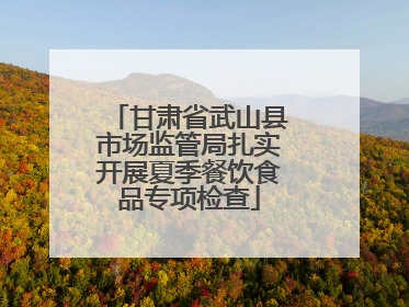 甘肃省武山县市场监管局扎实开展夏季餐饮食品专项检查