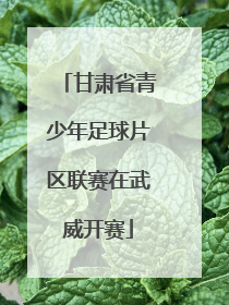 甘肃省青少年足球片区联赛在武威开赛