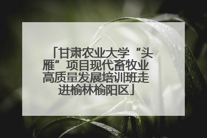 甘肃农业大学“头雁”项目现代畜牧业高质量发展培训班走进榆林榆阳区
