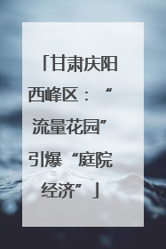 甘肃庆阳西峰区：“流量花园”引爆“庭院经济”