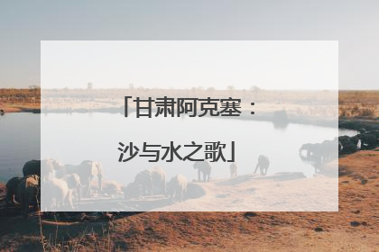 甘肃阿克塞：沙与水之歌