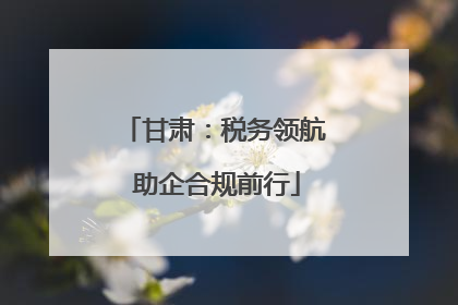 甘肃：税务领航 助企合规前行