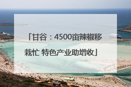 甘谷：4500亩辣椒移栽忙 特色产业助增收