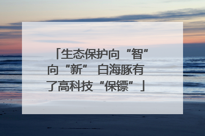 生态保护向“智”向“新” 白海豚有了高科技“保镖”