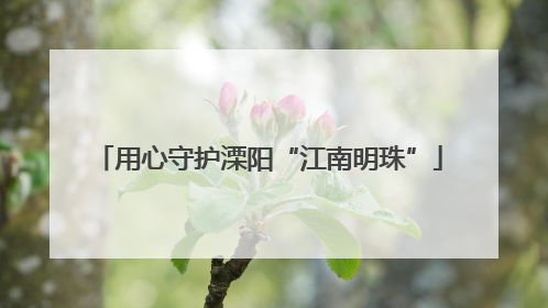 用心守护溧阳“江南明珠”
