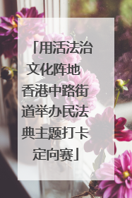 用活法治文化阵地 香港中路街道举办民法典主题打卡定向赛