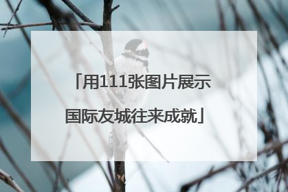 用111张图片展示国际友城往来成就