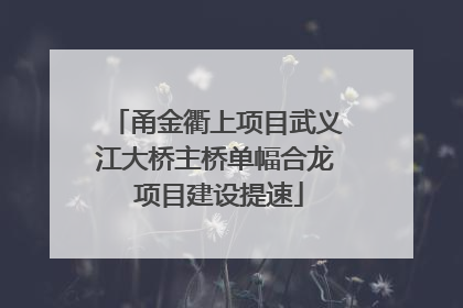 甬金衢上项目武义江大桥主桥单幅合龙 项目建设提速