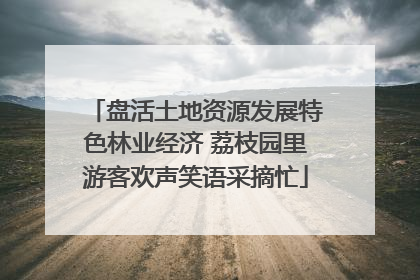盘活土地资源发展特色林业经济 荔枝园里游客欢声笑语采摘忙