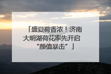 盛夏荷香浓！济南大明湖荷花率先开启“颜值暴击”