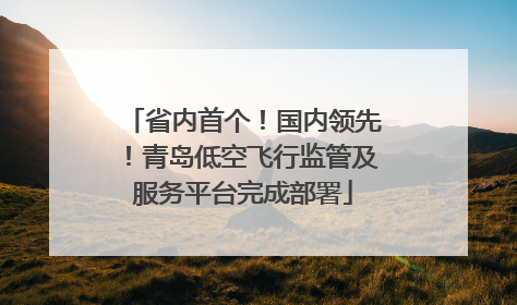 省内首个！国内领先！青岛低空飞行监管及服务平台完成部署