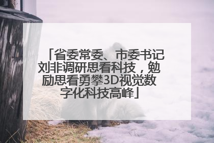 省委常委、市委书记刘非调研思看科技，勉励思看勇攀3D视觉数字化科技高峰