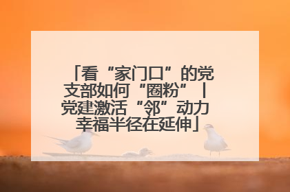 看“家门口”的党支部如何“圈粉”丨党建激活“邻”动力 幸福半径在延伸