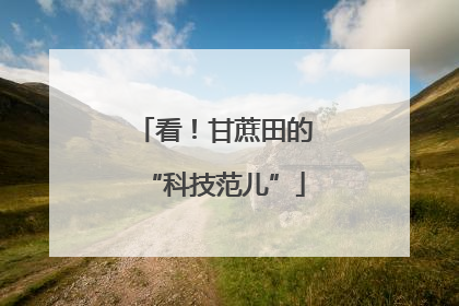 看！甘蔗田的“科技范儿”