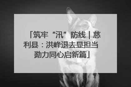 筑牢“汛”防线｜慈利县：洪峰退去显担当 勠力同心启新篇
