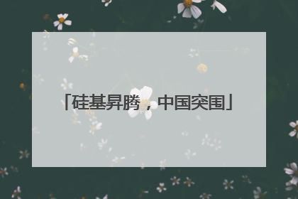 硅基昇腾，中国突围