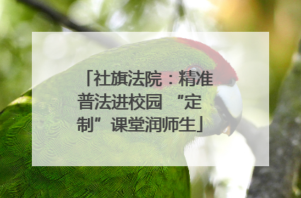 社旗法院：精准普法进校园 “定制”课堂润师生