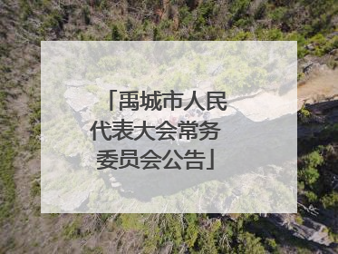 禹城市人民代表大会常务委员会公告