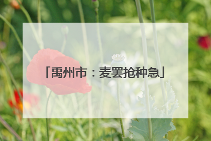 禹州市：麦罢抢种急