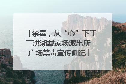 禁毒，从“心”下手――洪湖戴家场派出所广场禁毒宣传侧记