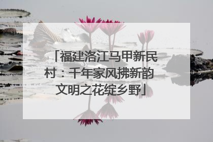 福建洛江马甲新民村：千年家风拂新韵 文明之花绽乡野
