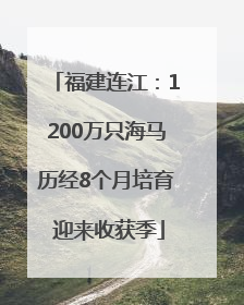 福建连江：1200万只海马历经8个月培育 迎来收获季