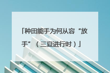 种田能手为何从容“放手”（三夏进行时）