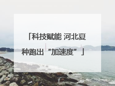 科技赋能 河北夏种跑出“加速度”