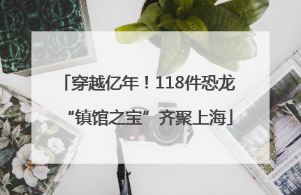 穿越亿年！118件恐龙“镇馆之宝”齐聚上海