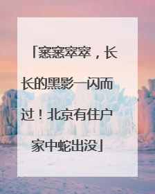 窸窸窣窣，长长的黑影一闪而过！北京有住户家中蛇出没