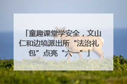 童趣课堂学安全，文山仁和边境派出所“法治礼包”点亮“六一”